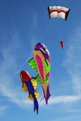 kites flying