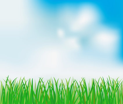 Green grass and blue sky background