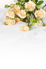 Fototapeta na wymiar Small roses in a white cloth isolated on white