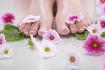 Fototapeta na wymiar Füße gepflegt mit Blüten poster Nahaufnahme
