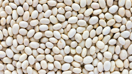 Bean seeds medium sized