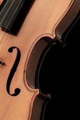 violin