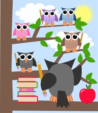 school learning owls