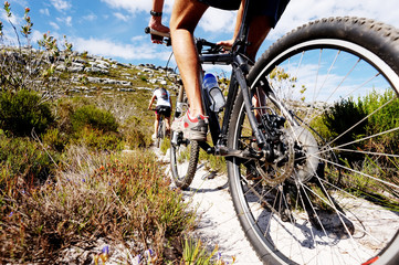 mountain bike trail