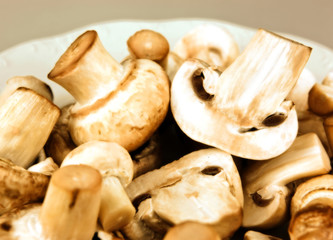 An edible mushroom, especially the much cultivated species Agari