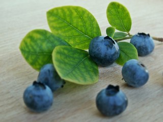 Blueberries with leaves