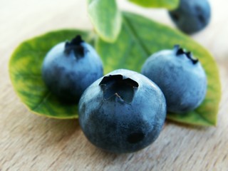 Blueberries on leaves