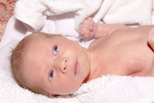 newborn infant is bathed in the bath