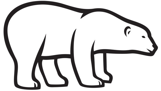 Polar Bear Sketches — Weasyl