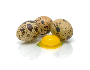 quail eggs and egg yolk on a white background