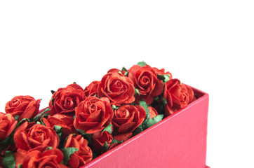 red roses in red box isolated