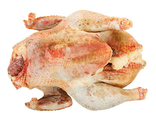 Broiler chicken home