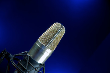 Vocal Mic