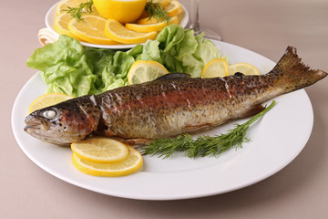 grilled trout