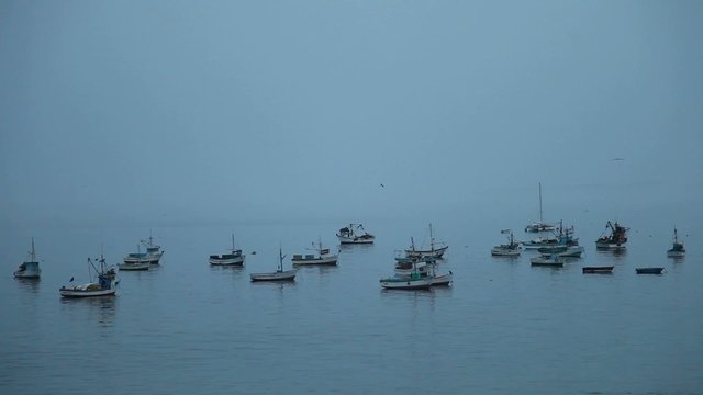 Fischerboote