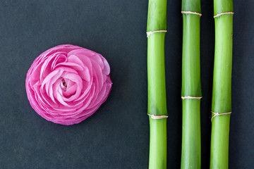 Obraz premium rose und bambus
