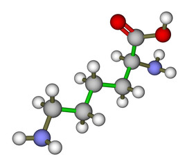 Lysine molecular structure