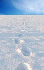 Footprints in the snwo