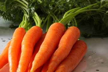 carrot