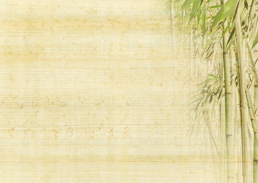 Asia background with bamboo