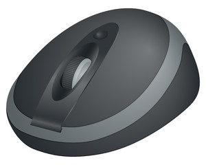 computer mouse