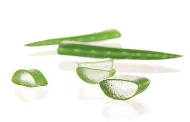 Aloe vera over white