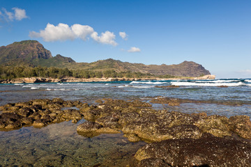 Fototapeta premium Maha'ulepu beach in Kauai