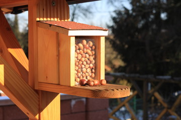 Eichhörnchen Futterplatz