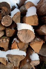 Wood Log and Snow