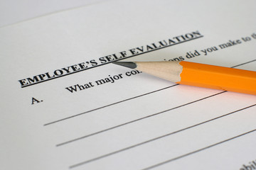 Performance evaluation form