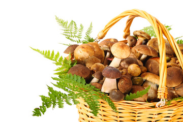 Mushrooms