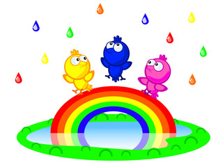 birds and rainbow