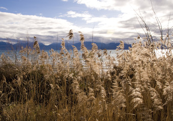 bord de lac