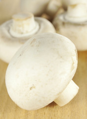 Mushrooms