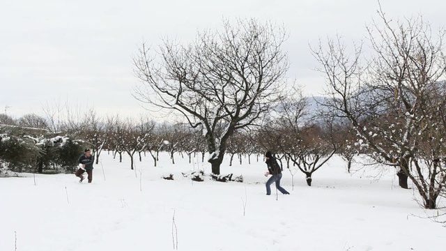 palle di neve