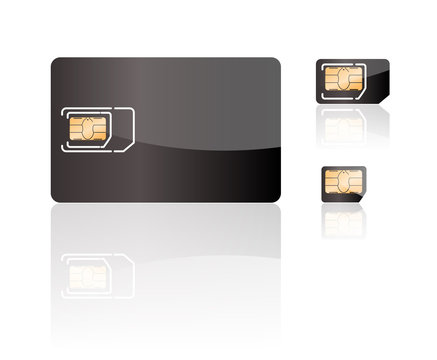 carte de t&eacute;l&eacute;phone SIM, micro SIM