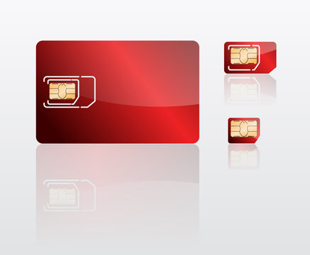 carte SIM, MICRO SIM