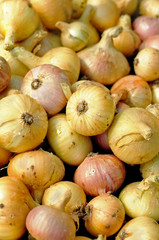 yellow onions