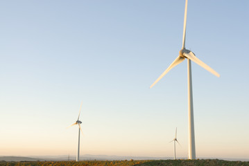 Three Wind Turbines at Dawn, UK.