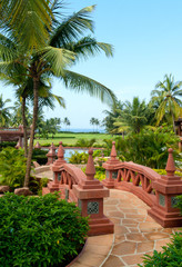 Fototapeta na wymiar Beautiful tropical palm trees garden with foot- bridge
