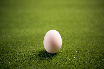 chicken egg on the lawn