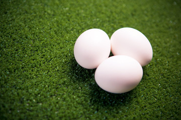 group of eggs on the green lawn