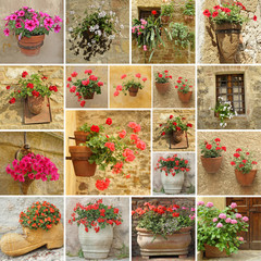 set of flower pots