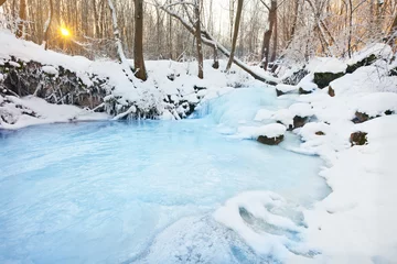 Foto op Canvas frozen waterfall © Alexander Ozerov