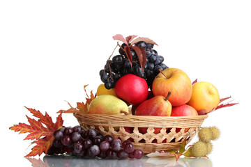 beautiful autumn harvest in basket and leaves isolated on white