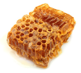 Honeycomb