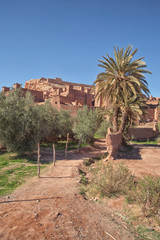 Moroccan Ksar Kasbah Ait Benhaddou (4)