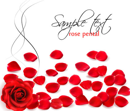 Background of red rose petals.  Vector illustration.