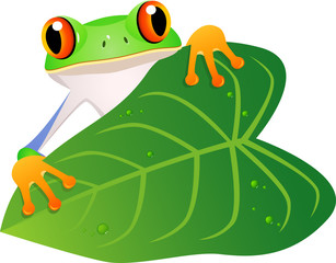 Frog cartoon