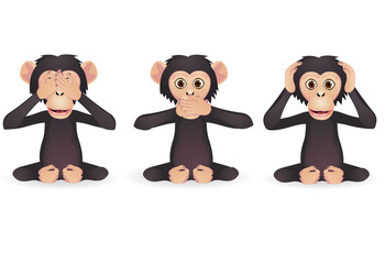Fototapeta premium Hear no evil, speak no evil, see no evil (Three wise monkey)